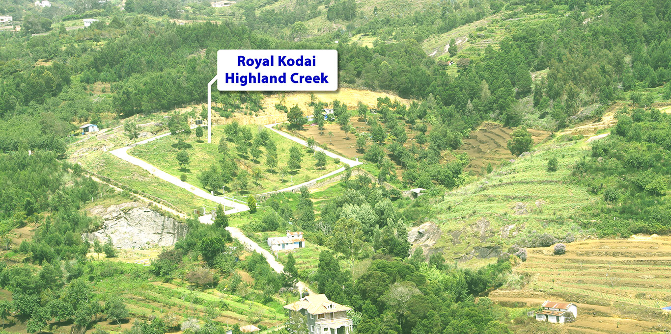 Royal Kodai Highland Creek